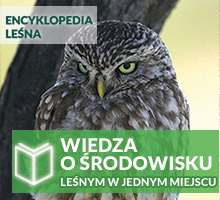 Encyklopedia Leśna