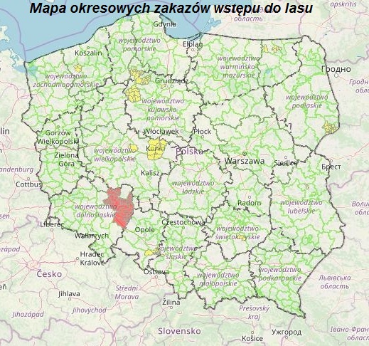 Mapa okresowych zakazów wstępu do lasu